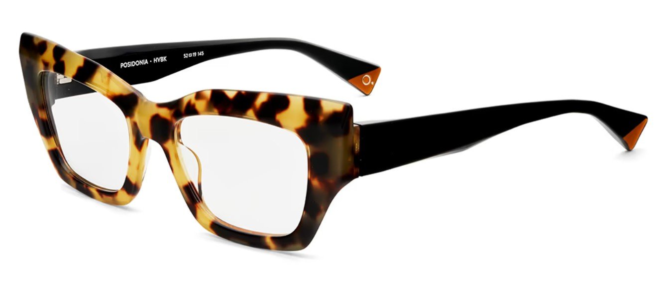 Etnia Barcelona Posidonia Havana Black HVBK glasses