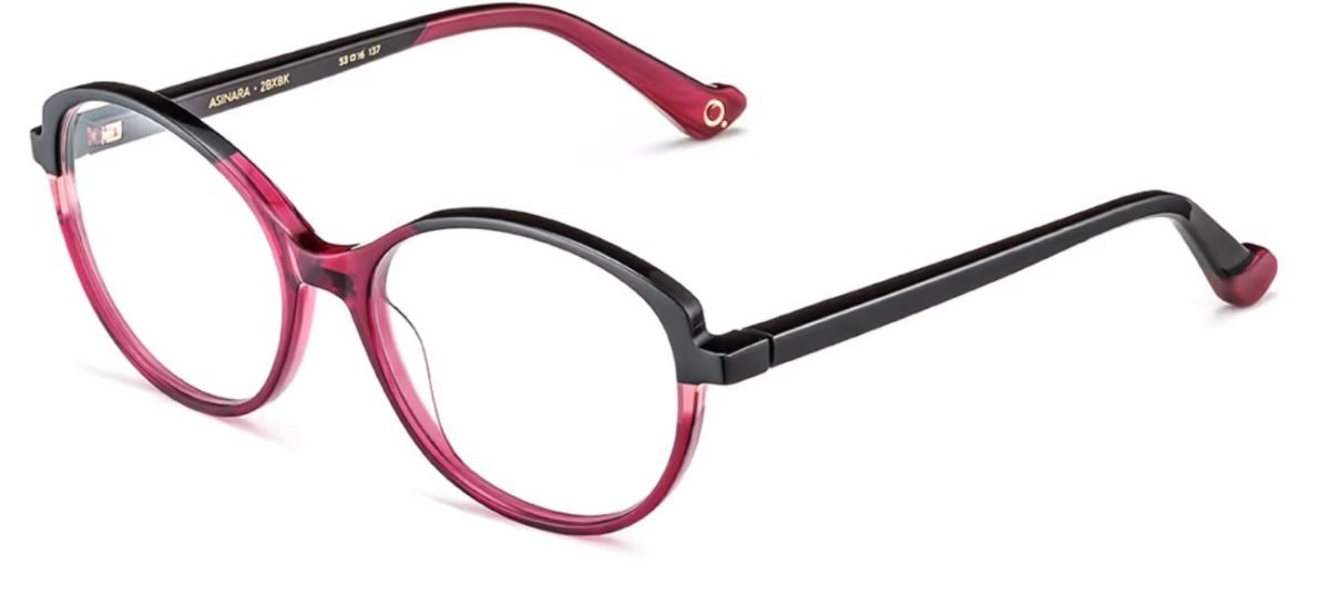 Etnia Barcelona Asinara BXBL glasses