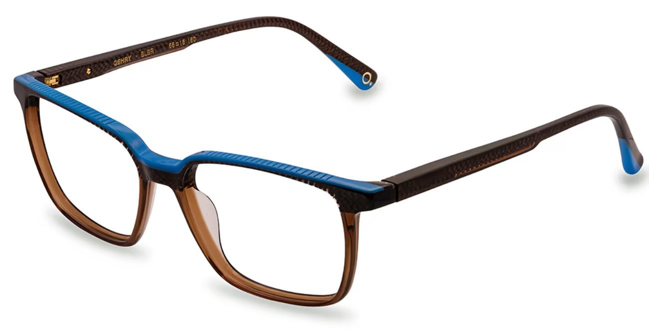 Etnia Barcelona Gehry BLBR glasses