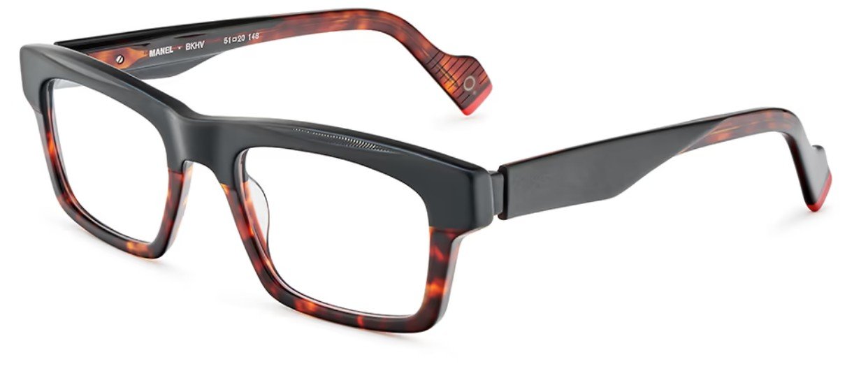 Etnia Barcelona Manel black havana glasses