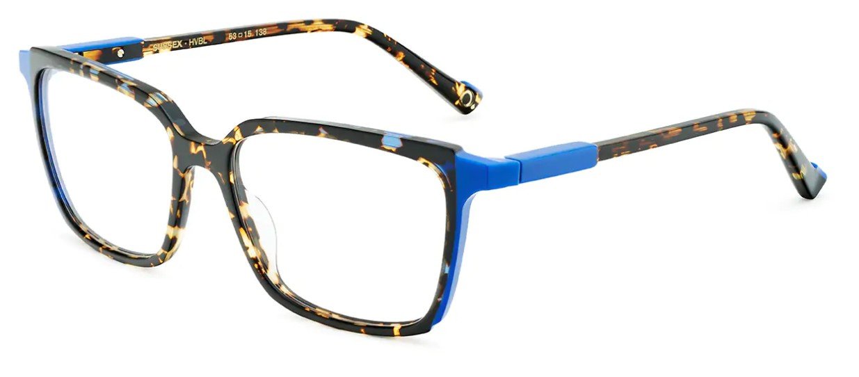Etnia Barcelona Sussex HVBL glasses